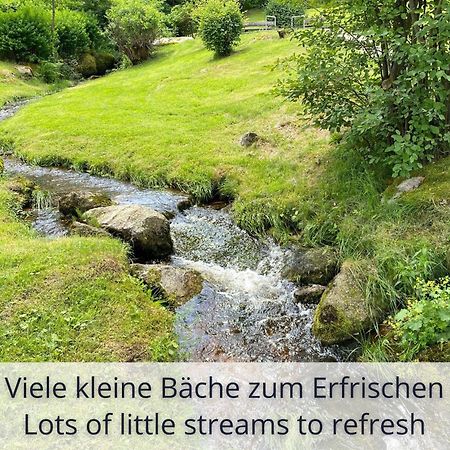 Auszeit Apartment Black Forest Schonach im Schwarzwald ภายนอก รูปภาพ