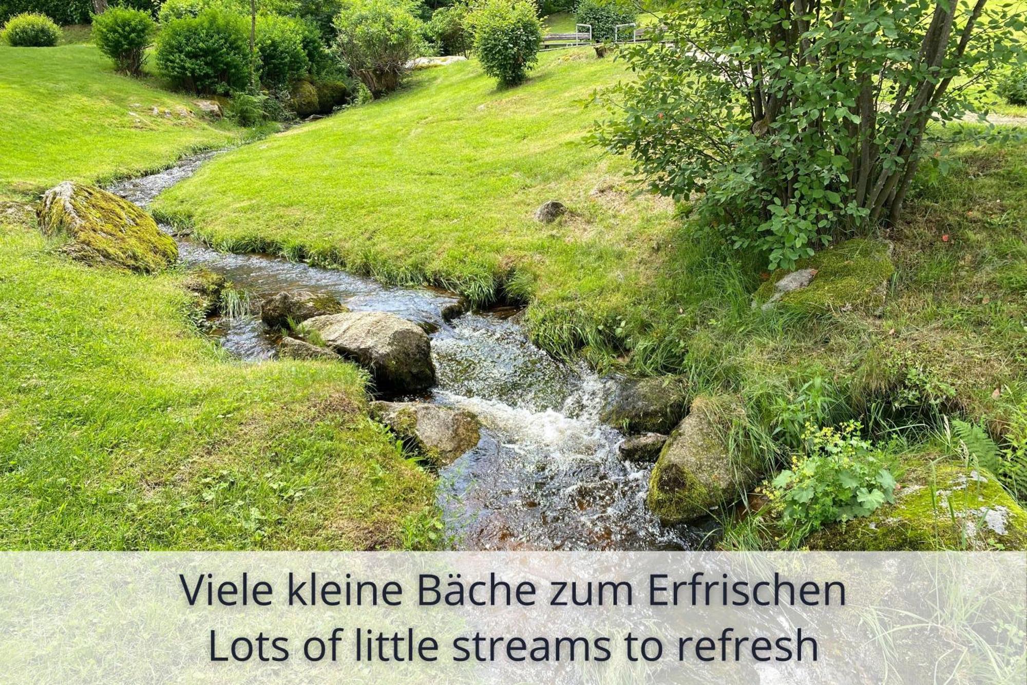 Auszeit Apartment Black Forest Schonach im Schwarzwald ภายนอก รูปภาพ