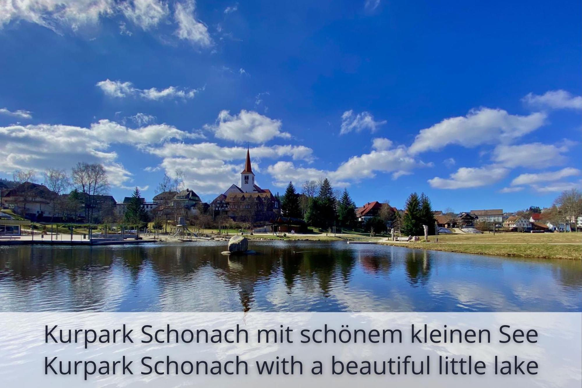 Auszeit Apartment Black Forest Schonach im Schwarzwald ภายนอก รูปภาพ