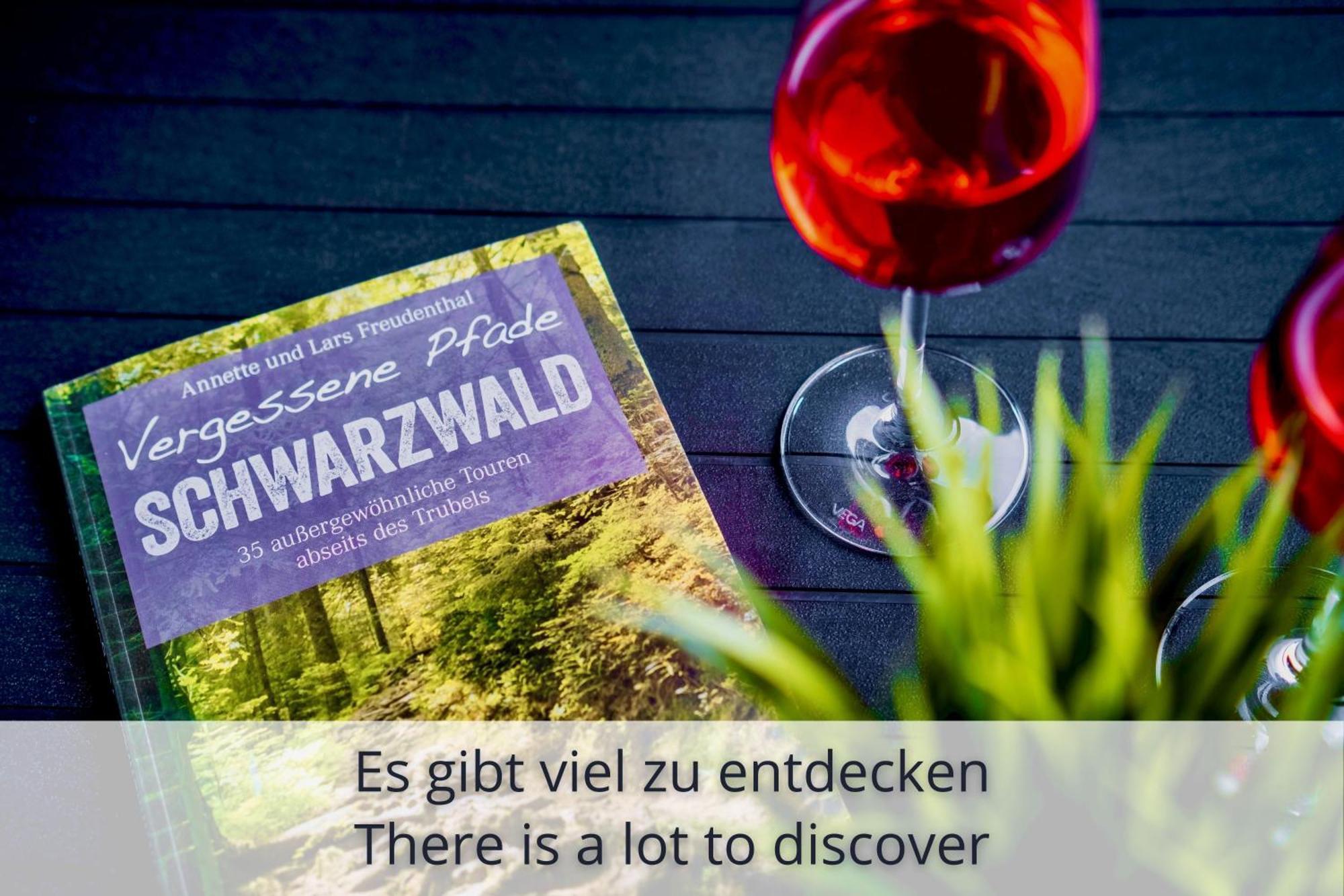 Auszeit Apartment Black Forest Schonach im Schwarzwald ภายนอก รูปภาพ