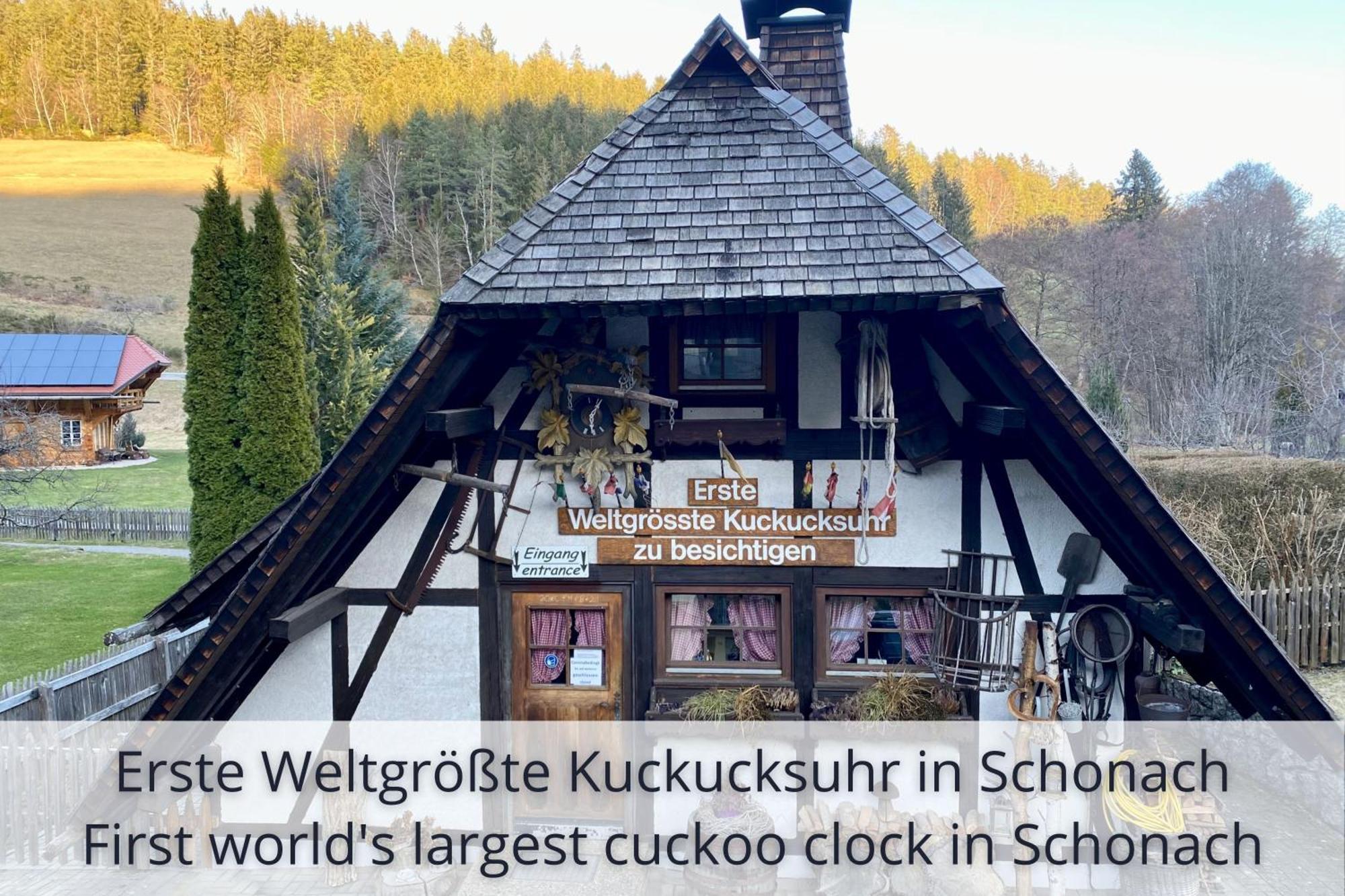Auszeit Apartment Black Forest Schonach im Schwarzwald ภายนอก รูปภาพ