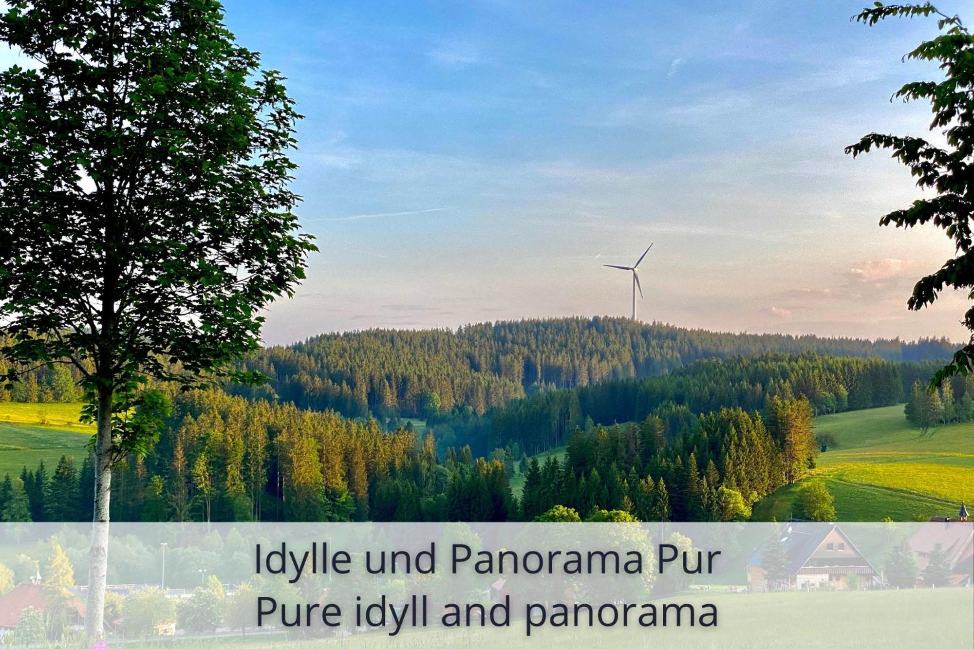 Auszeit Apartment Black Forest Schonach im Schwarzwald ภายนอก รูปภาพ