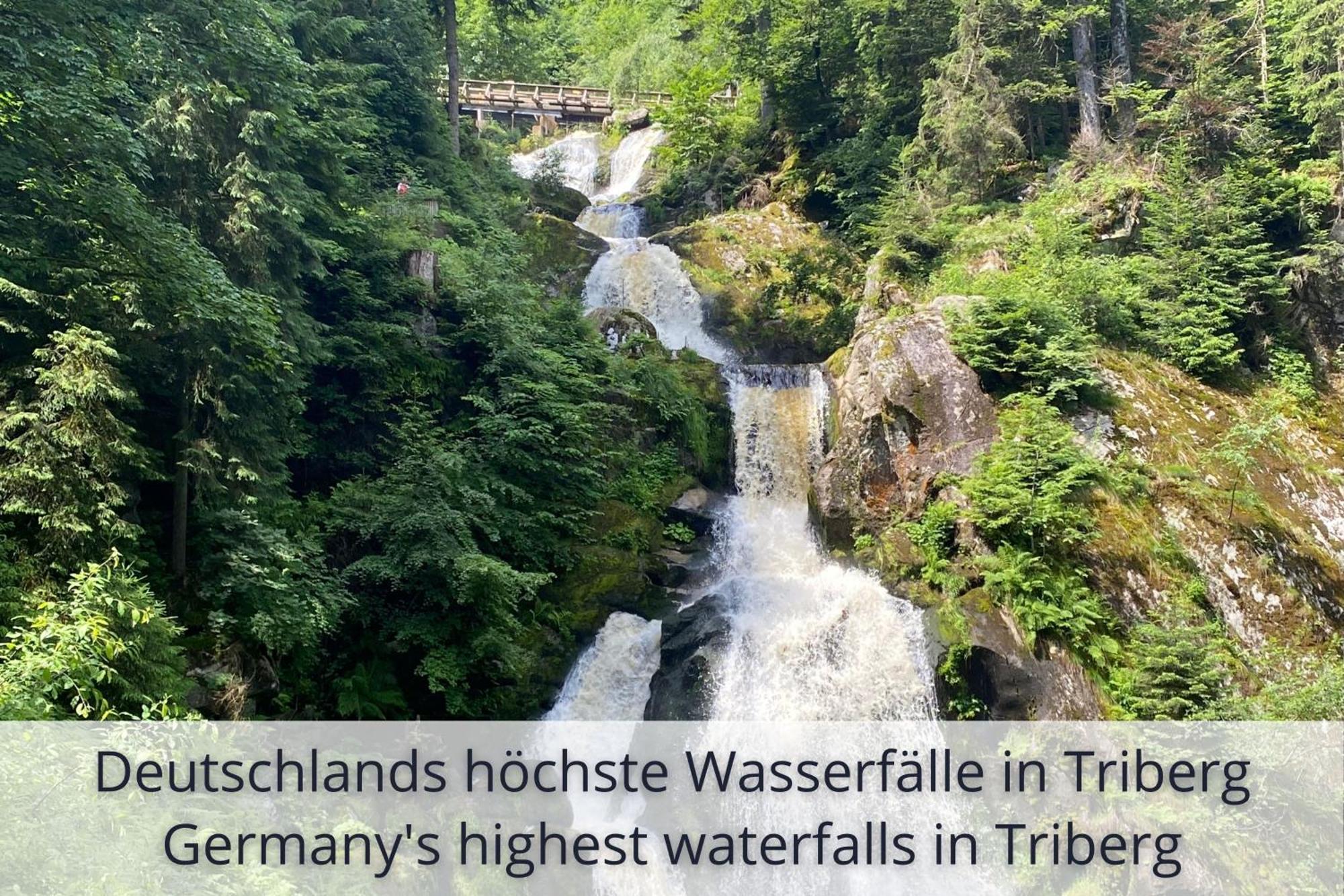 Auszeit Apartment Black Forest Schonach im Schwarzwald ภายนอก รูปภาพ