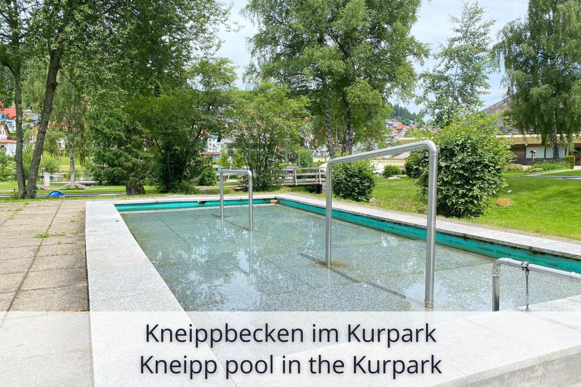 Auszeit Apartment Black Forest Schonach im Schwarzwald ภายนอก รูปภาพ